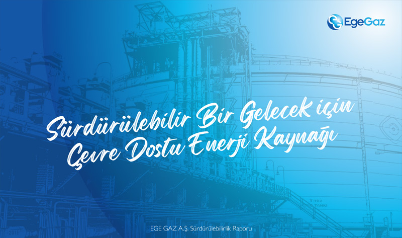 Sustainability Report Design